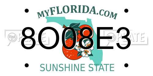 8O08E3 Florida License Plate
