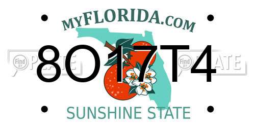 8O17T4 Florida License Plate