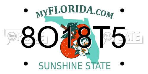 8O18T5 Florida License Plate