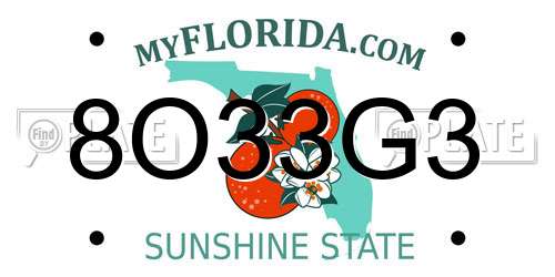 8O33G3 Florida License Plate