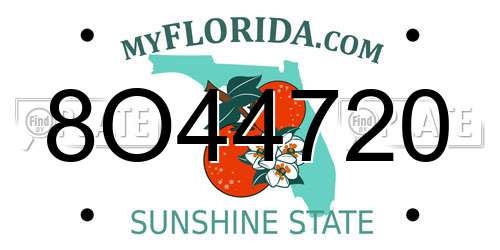 8O44720 Florida License Plate