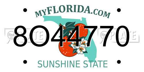 8O44770 Florida License Plate