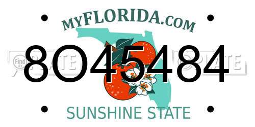 8O45484 Florida License Plate