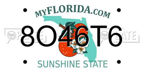8O46T6 Florida License Plate
