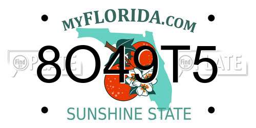 8O49T5 Florida License Plate