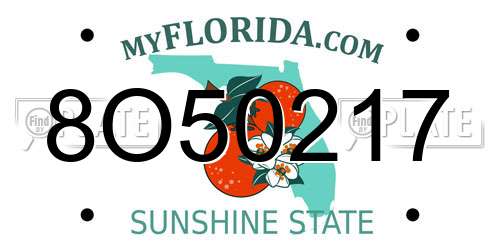 8O50217 Florida License Plate