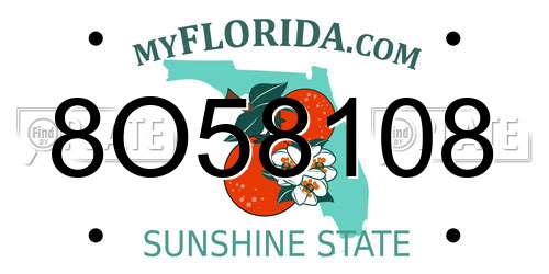 8O58108 Florida License Plate