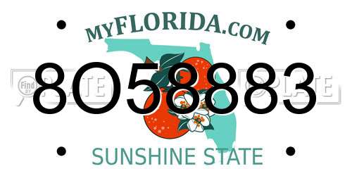 8O58883 Florida License Plate