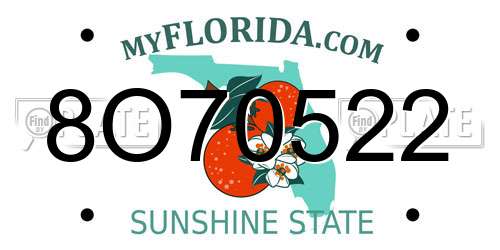 8O70522 Florida License Plate