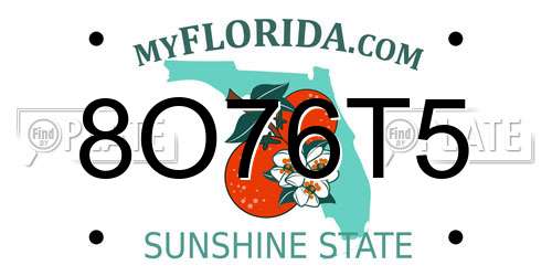 8O76T5 Florida License Plate