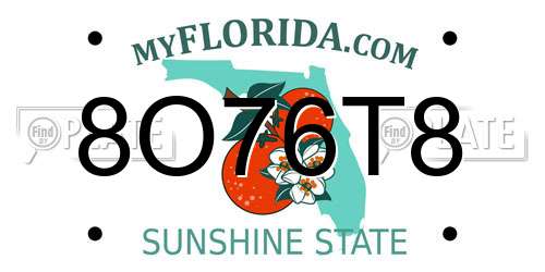 8O76T8 Florida License Plate