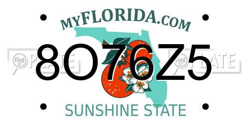 8O76Z5 Florida License Plate