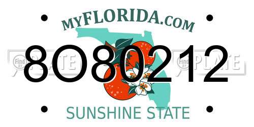 8O80212 Florida License Plate