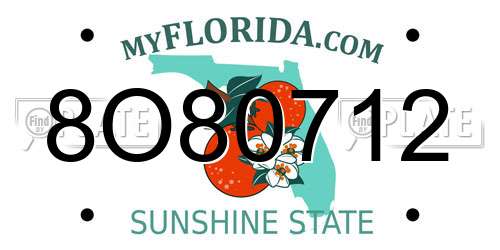8O80712 Florida License Plate