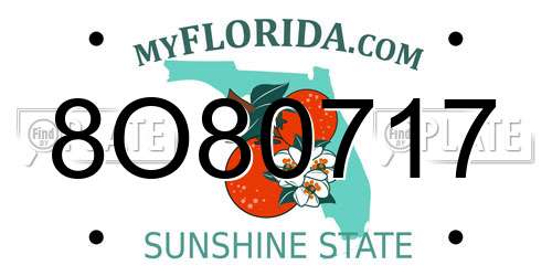 8O80717 Florida License Plate