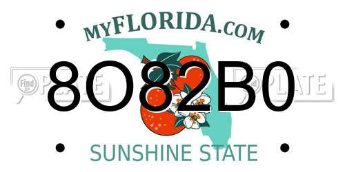 8O82B0 Florida License Plate