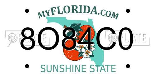 8O84C0 Florida License Plate
