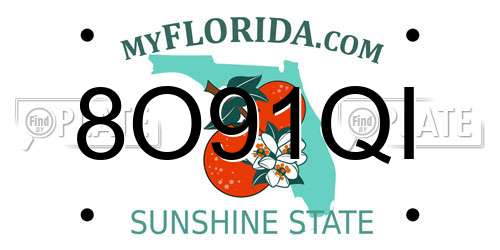 8O91QI Florida License Plate
