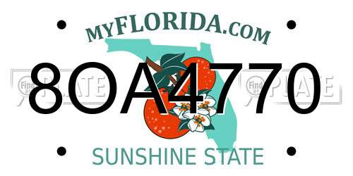 8OA4770 Florida License Plate