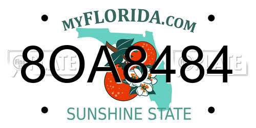 8OA8484 Florida License Plate