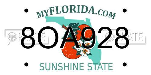 8OA928 Florida License Plate