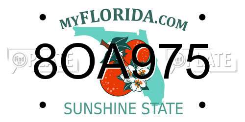 8OA975 Florida License Plate