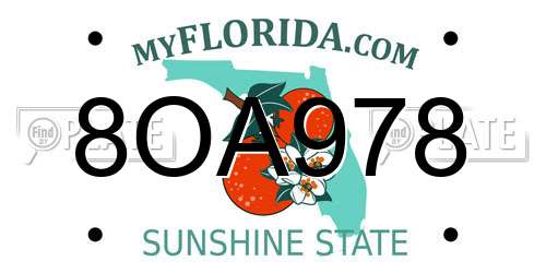 8OA978 Florida License Plate
