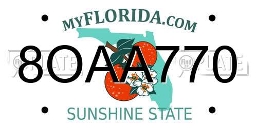 8OAA770 Florida License Plate