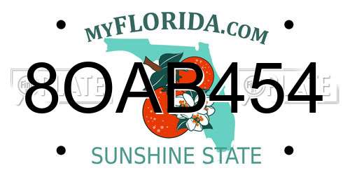 8OAB454 Florida License Plate