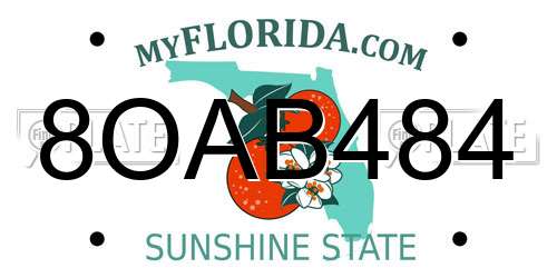 8OAB484 Florida License Plate