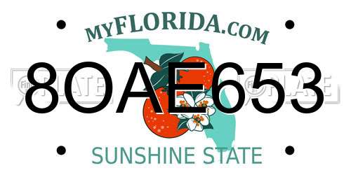 8OAE653 Florida License Plate