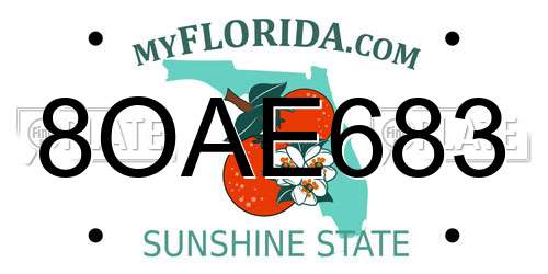 8OAE683 Florida License Plate