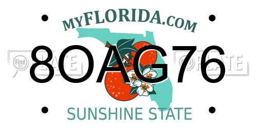 8OAG76 Florida License Plate