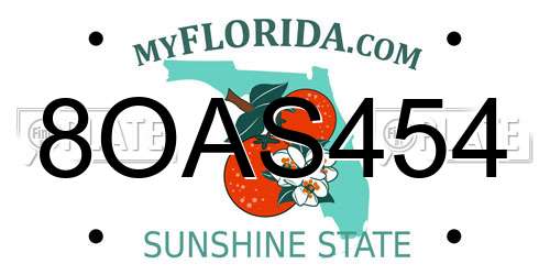 8OAS454 Florida License Plate