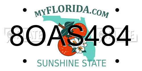 8OAS484 Florida License Plate