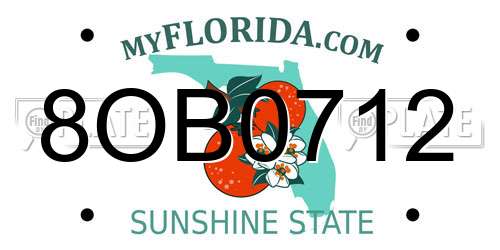 8OB0712 Florida License Plate