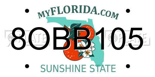 8OBB105 Florida License Plate