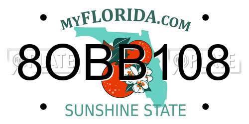 8OBB108 Florida License Plate