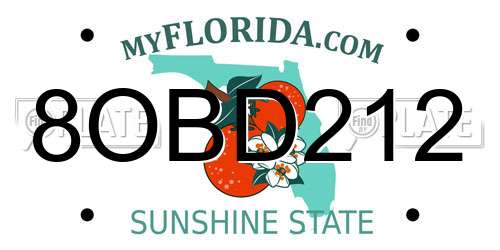 8OBD212 Florida License Plate
