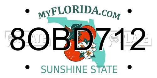 8OBD712 Florida License Plate
