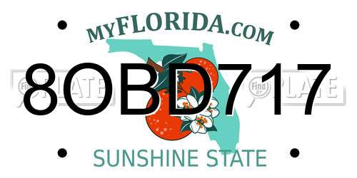 8OBD717 Florida License Plate
