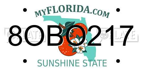 8OBO217 Florida License Plate