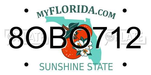 8OBO712 Florida License Plate