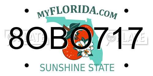 8OBO717 Florida License Plate