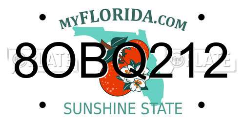 8OBQ212 Florida License Plate