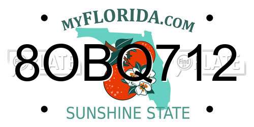 8OBQ712 Florida License Plate