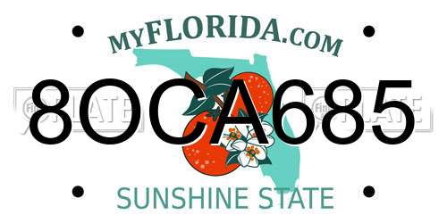 8OCA685 Florida License Plate