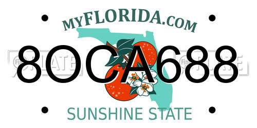8OCA688 Florida License Plate