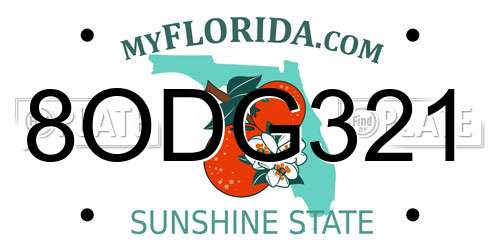 8ODG321 Florida License Plate