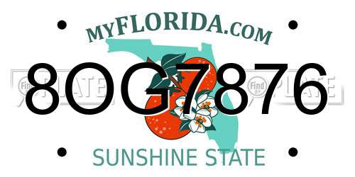 8OG7876 Florida License Plate